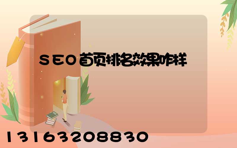 SEO首页排名效果咋样