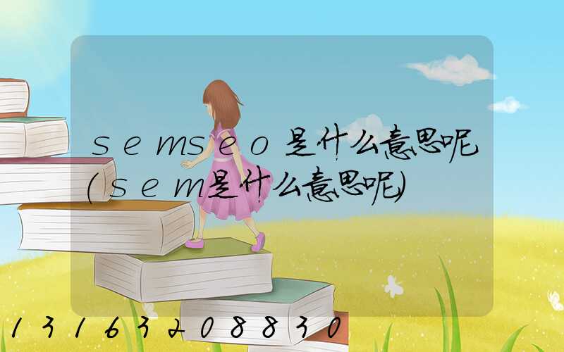 semseo是什么意思呢(sem是什么意思呢)