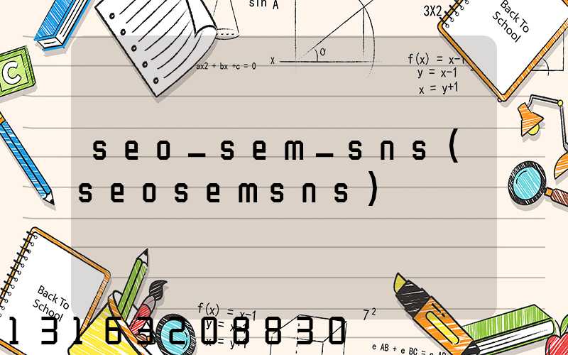 seo_sem_sns(seosemsns)