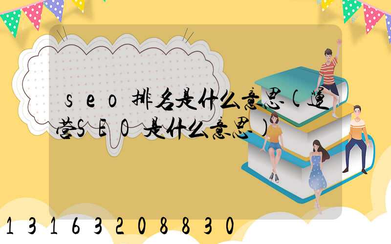 seo排名是什么意思(运营SEO是什么意思)