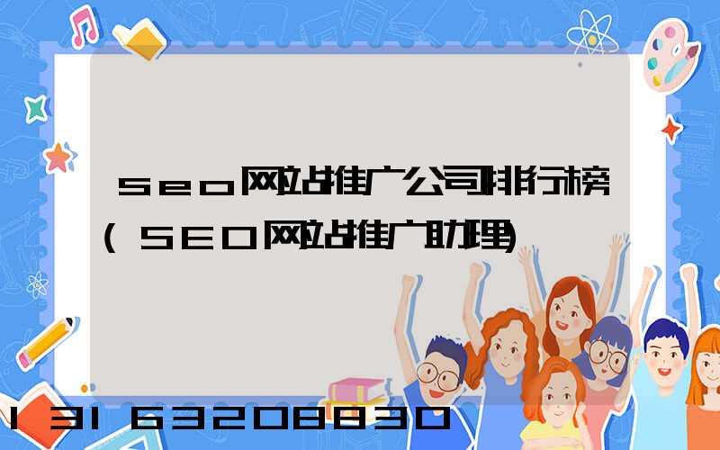 seo网站推广公司排行榜(SEO网站推广助理)