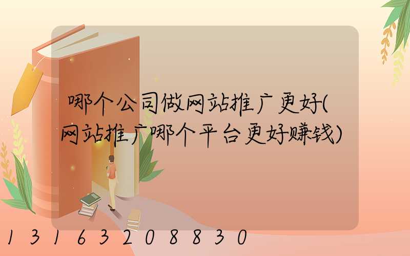 哪个公司做网站推广更好(网站推广哪个平台更好赚钱)