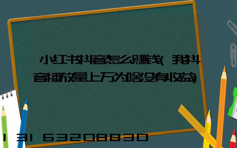 小红书抖音怎么赚钱(我抖音播放量上万为啥没有收益)