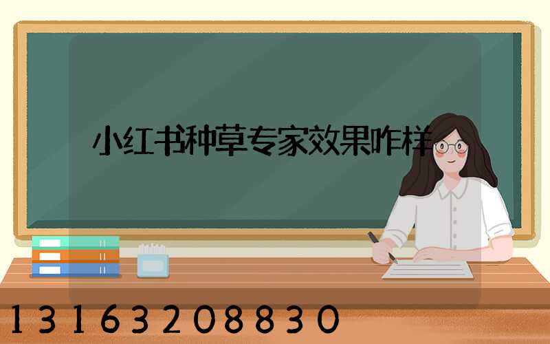 小红书种草专家效果咋样