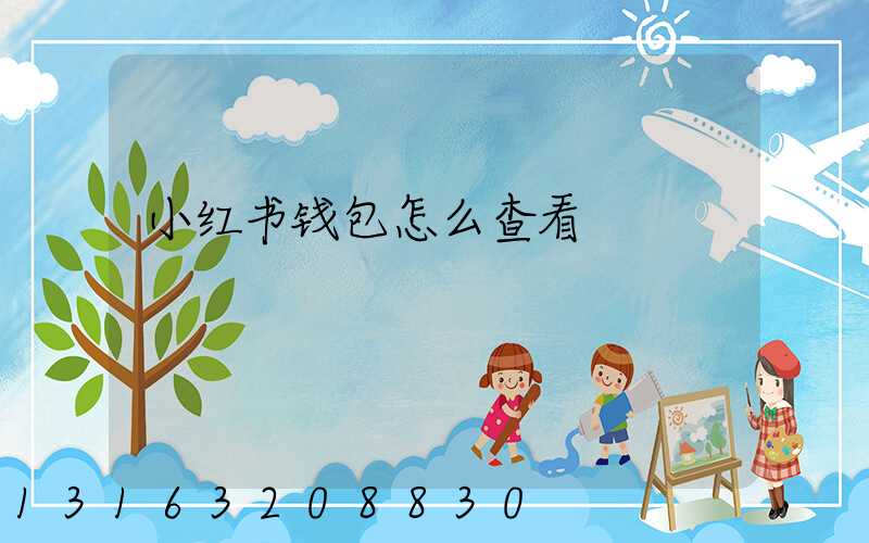 小红书钱包怎么查看
