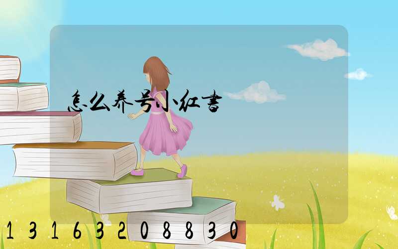 怎么养号小红书