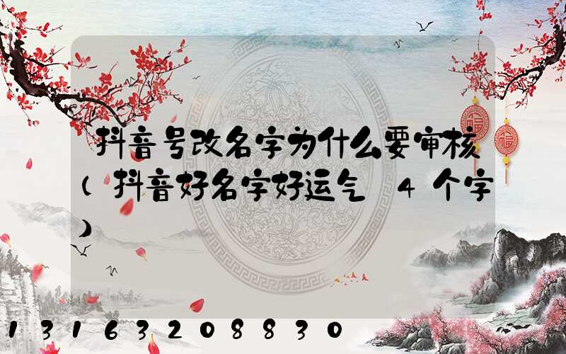 抖音号改名字为什么要审核(抖音好名字好运气_4个字)