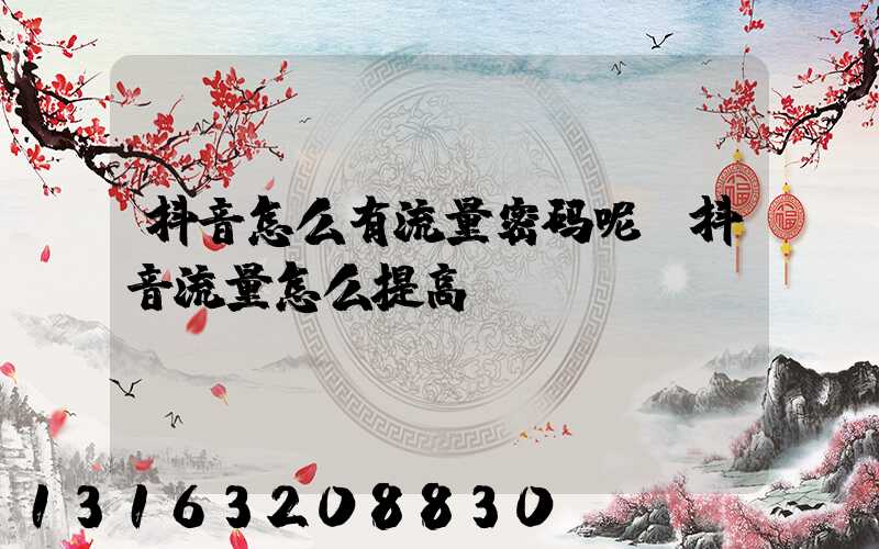 抖音怎么有流量密码呢(抖音流量怎么提高)