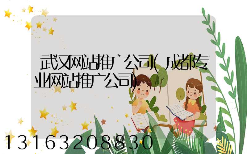 武汉网站推广公司(成都专业网站推广公司)