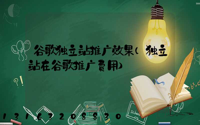 谷歌独立站推广效果(独立站在谷歌推广费用)