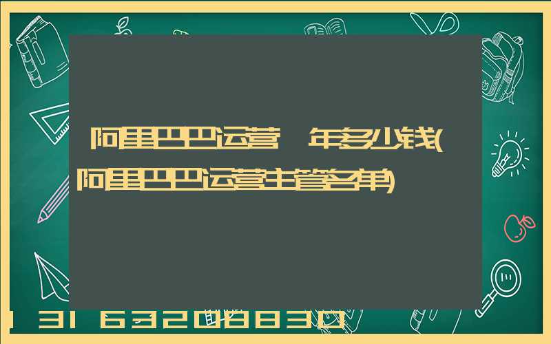 阿里巴巴运营一年多少钱(阿里巴巴运营主管名单)